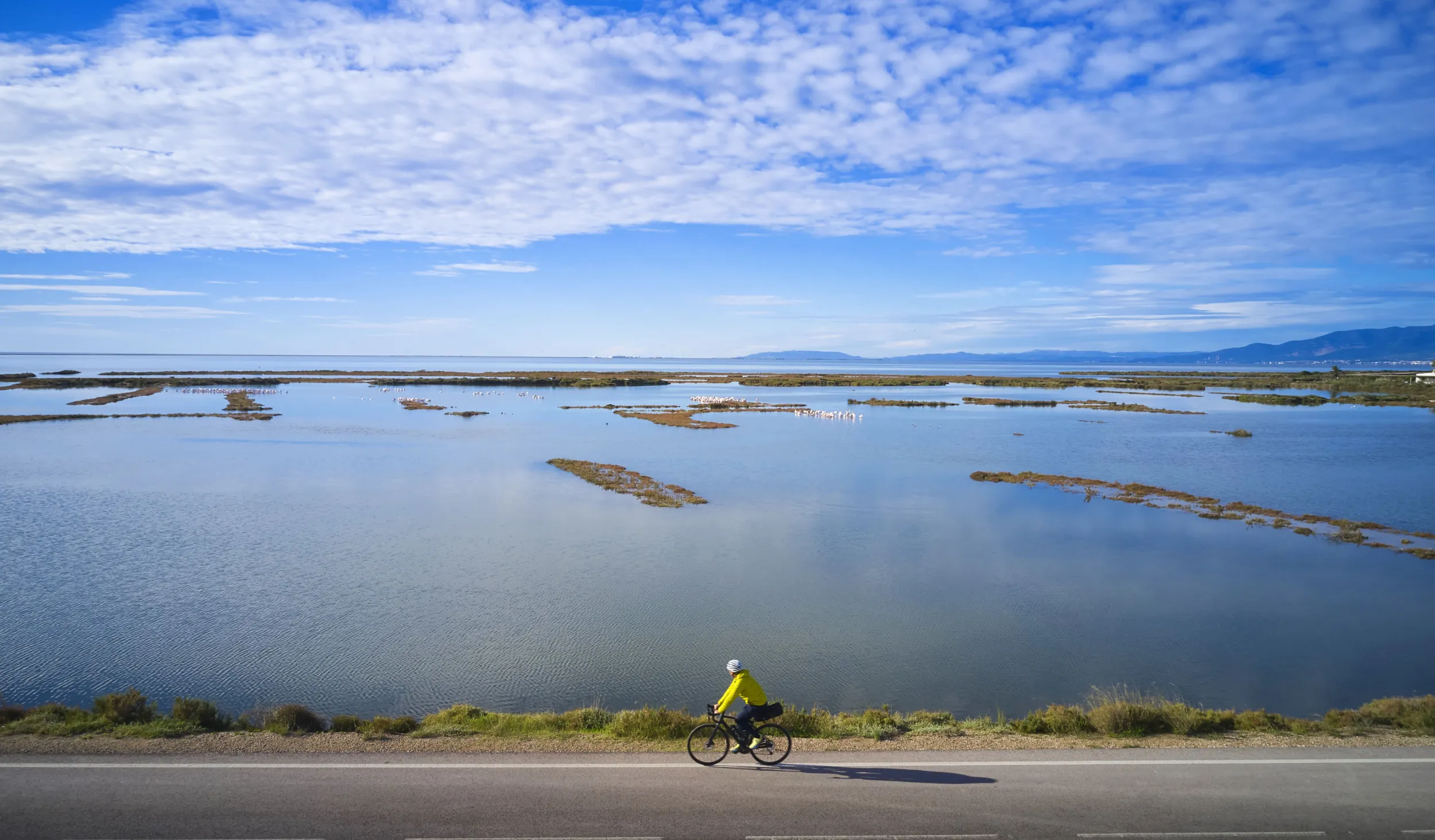 desembocadura ebro en bicicleta
