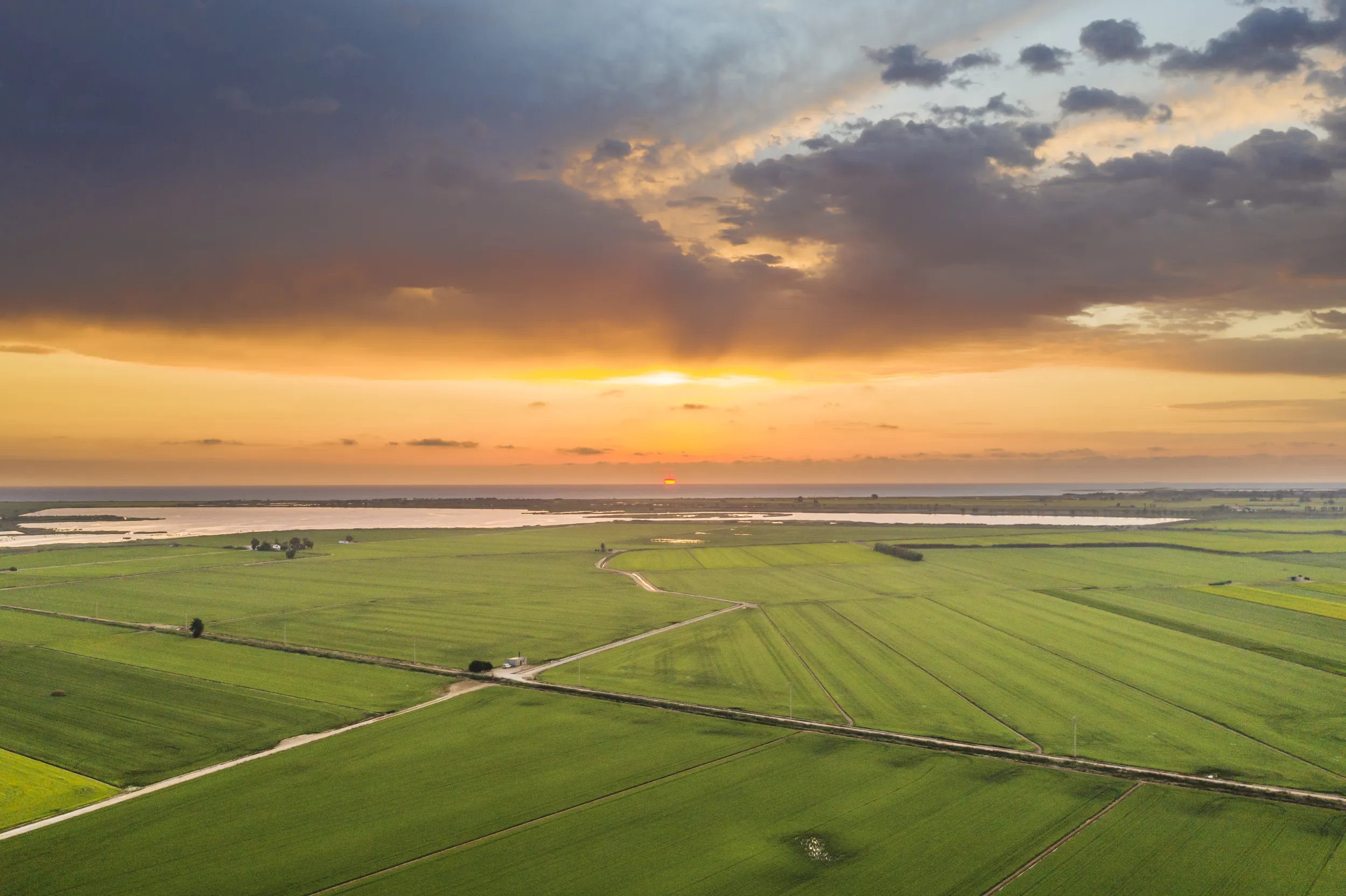 delta del ebro