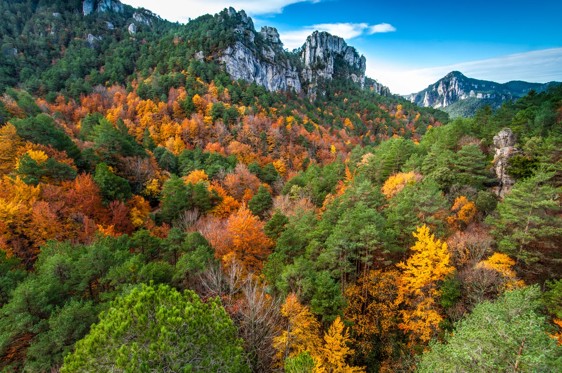 fagedes dels ports