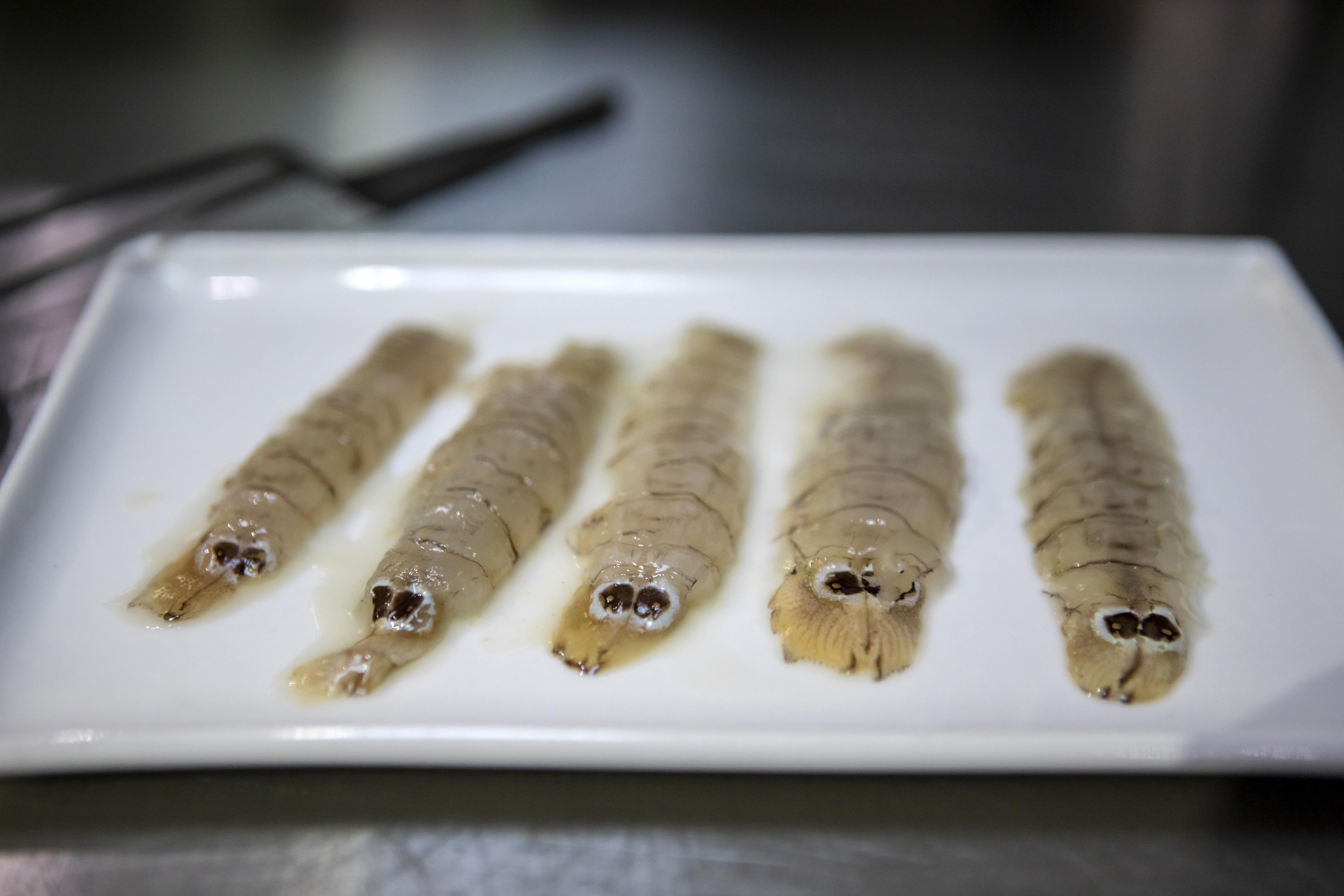 Galeres en plat