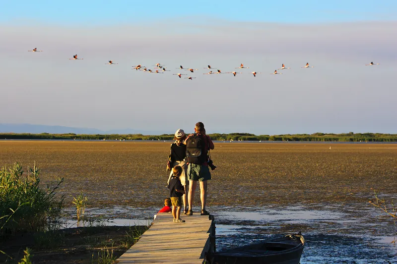 observacion aves en laguna