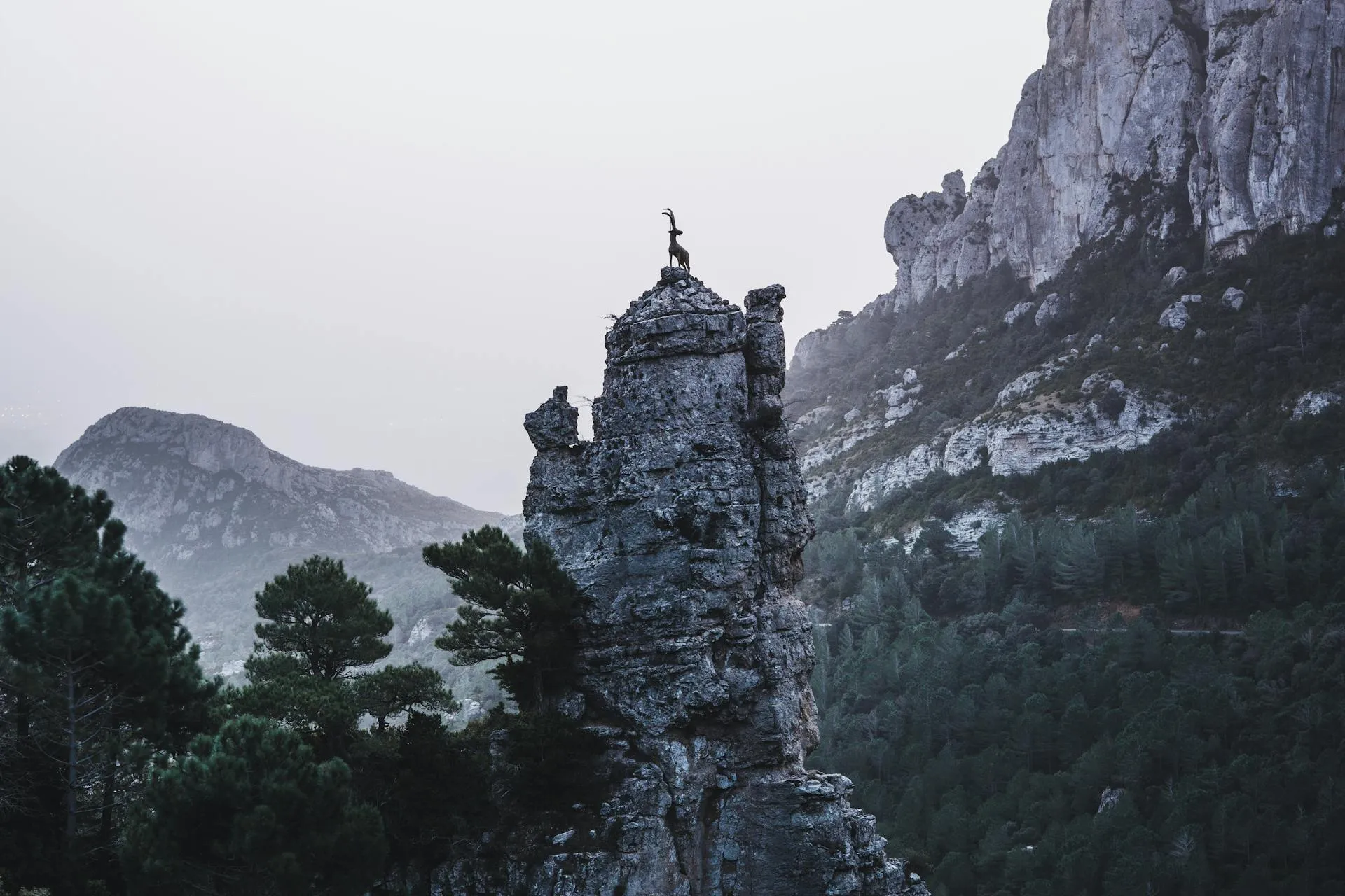 mont caro