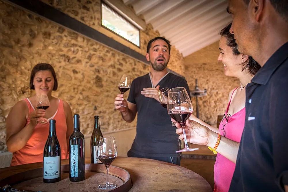celler mas de manxol
