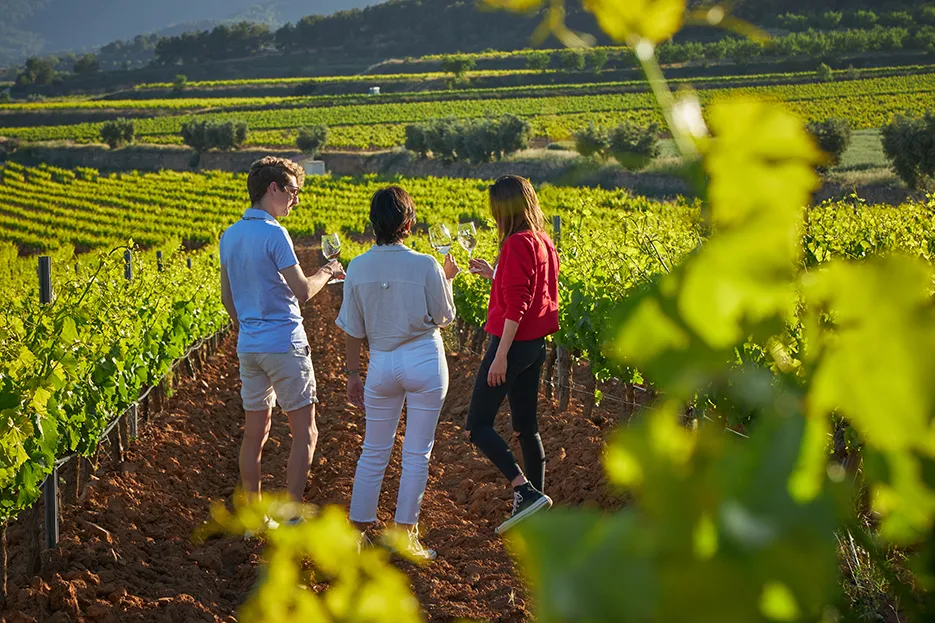 viñas gente vino