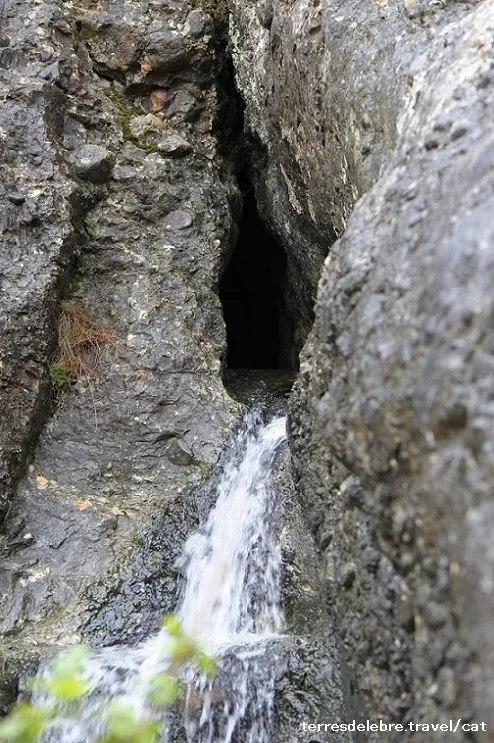 Forat de la Donzella