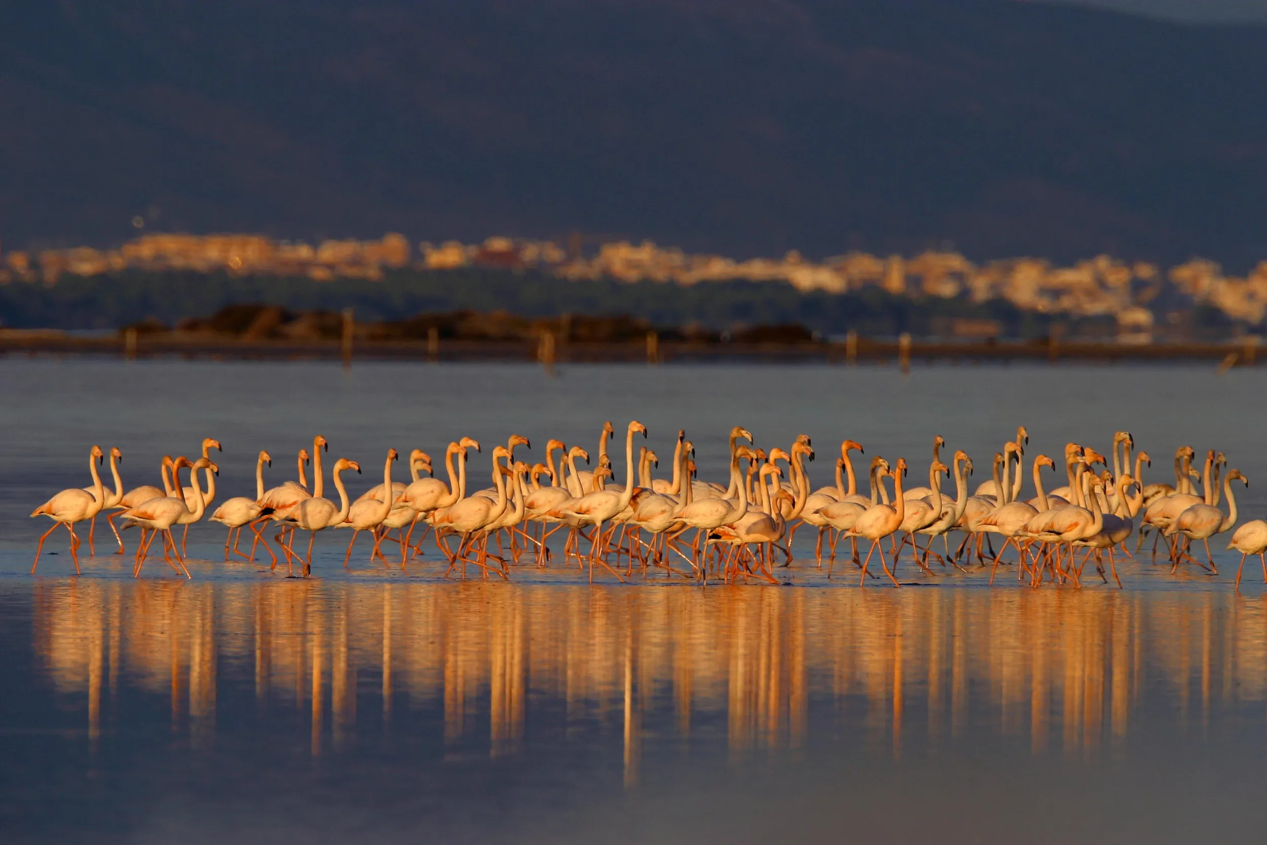 Parc Natural del Delta de l'Ebre