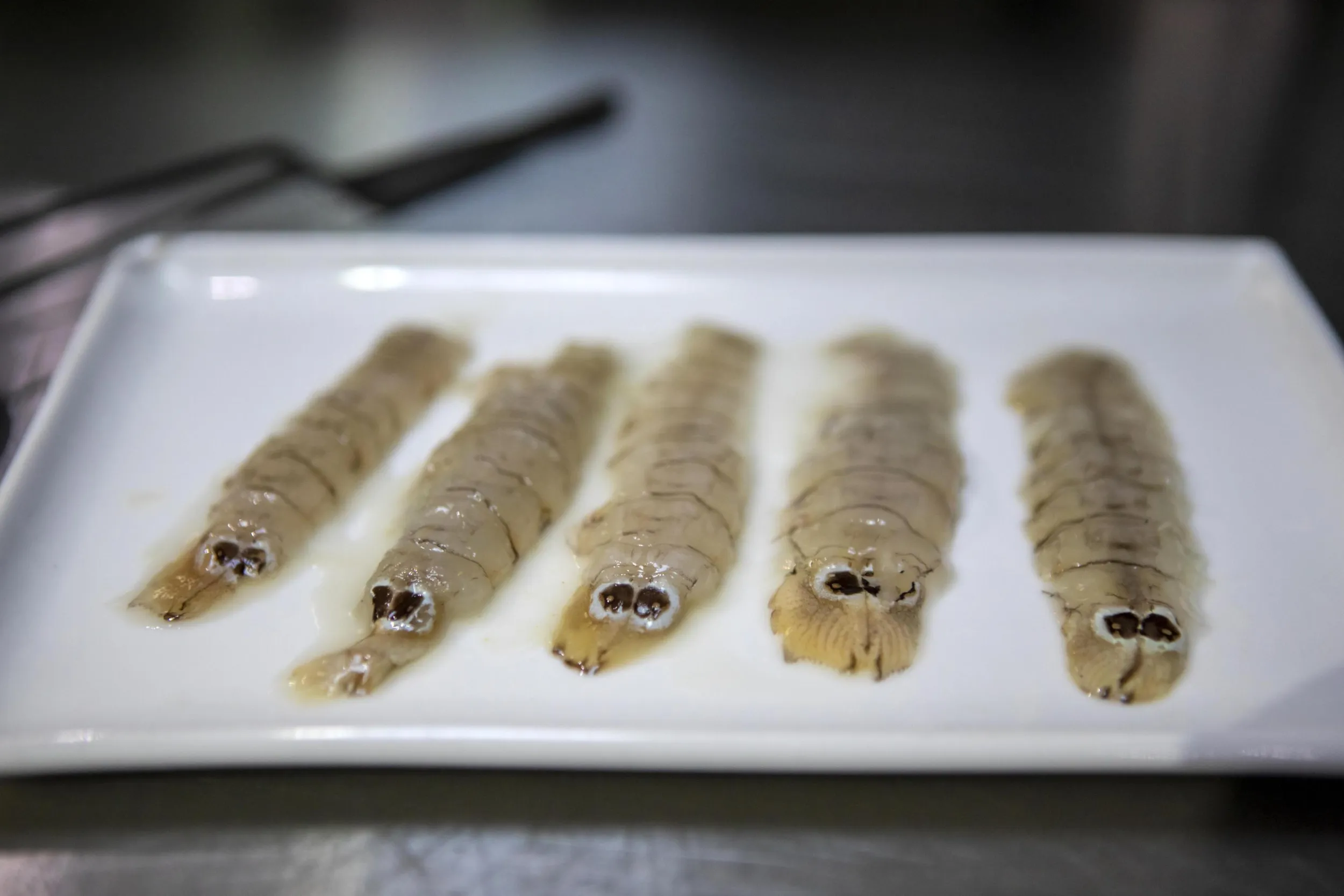 galeras en plato