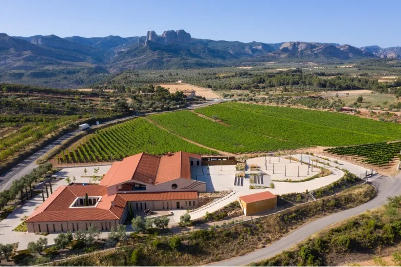 vista vinyes del convent