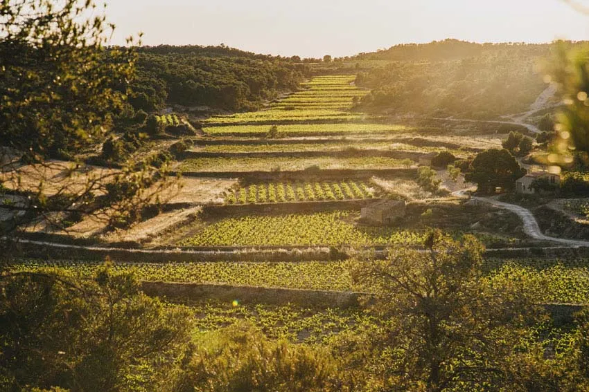 la fou celler vista exterior