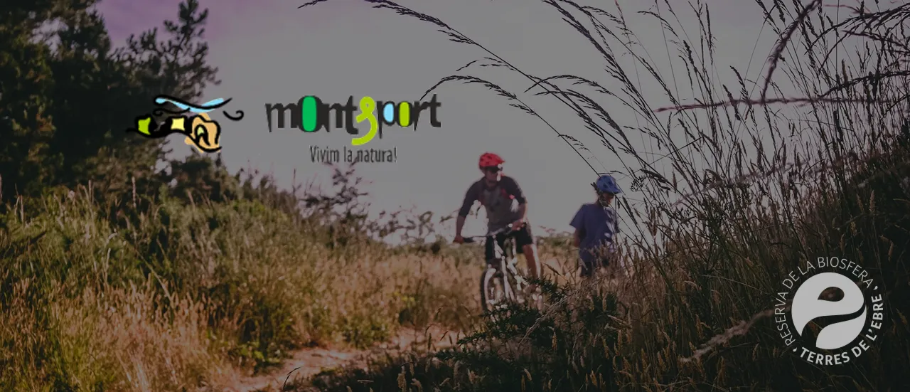 montsport banner y logo