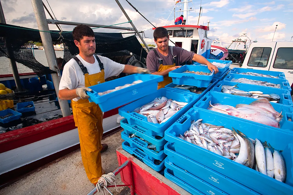 pescadores en la rapita