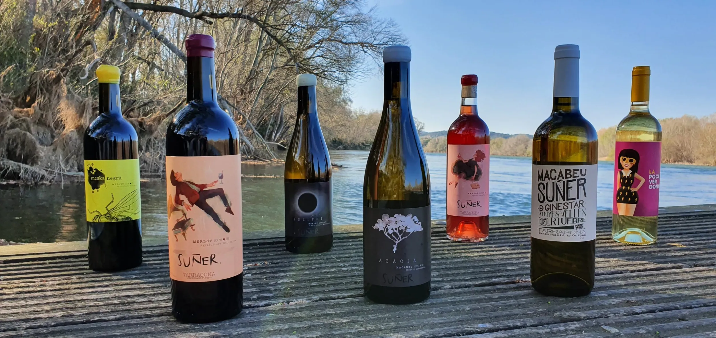 botellas-sunher