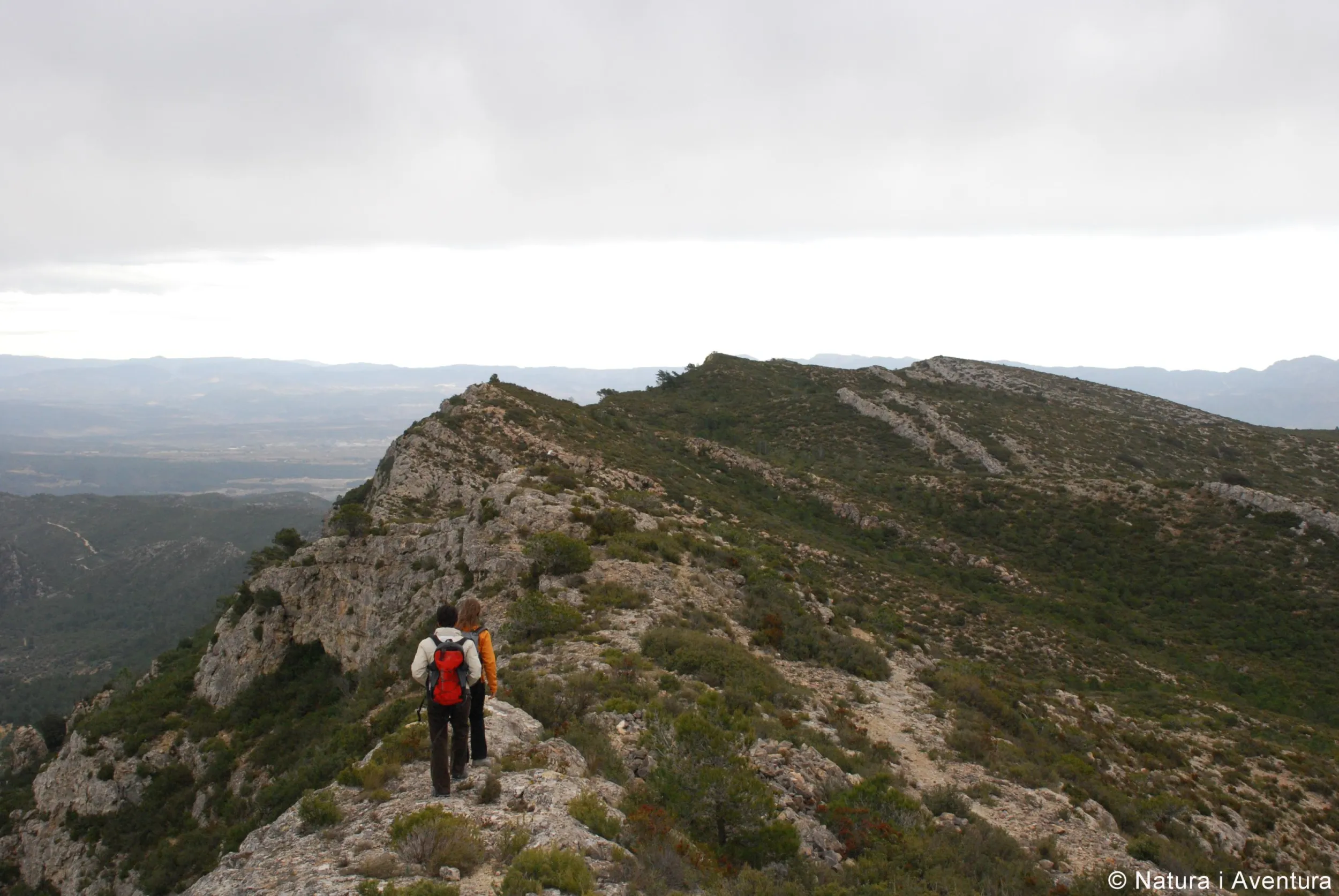 Serres de Pàndols i Cavalls