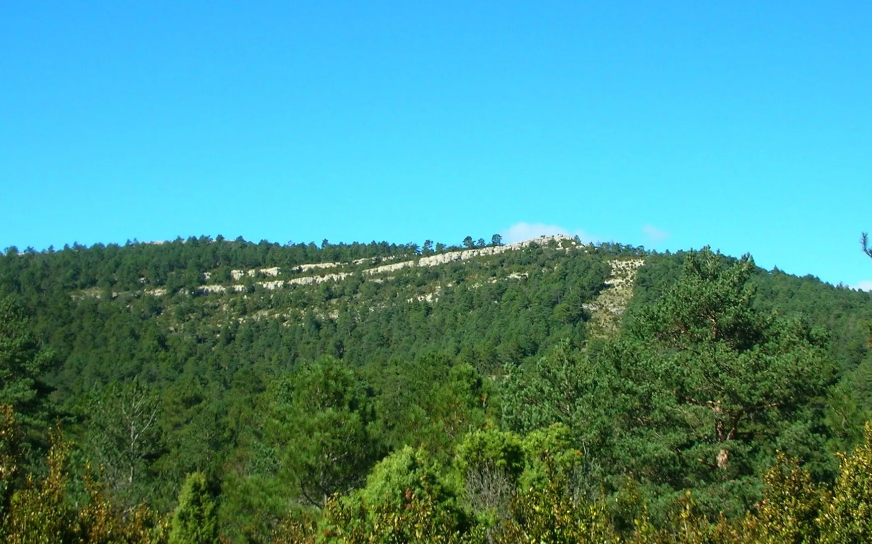 tossal del rei