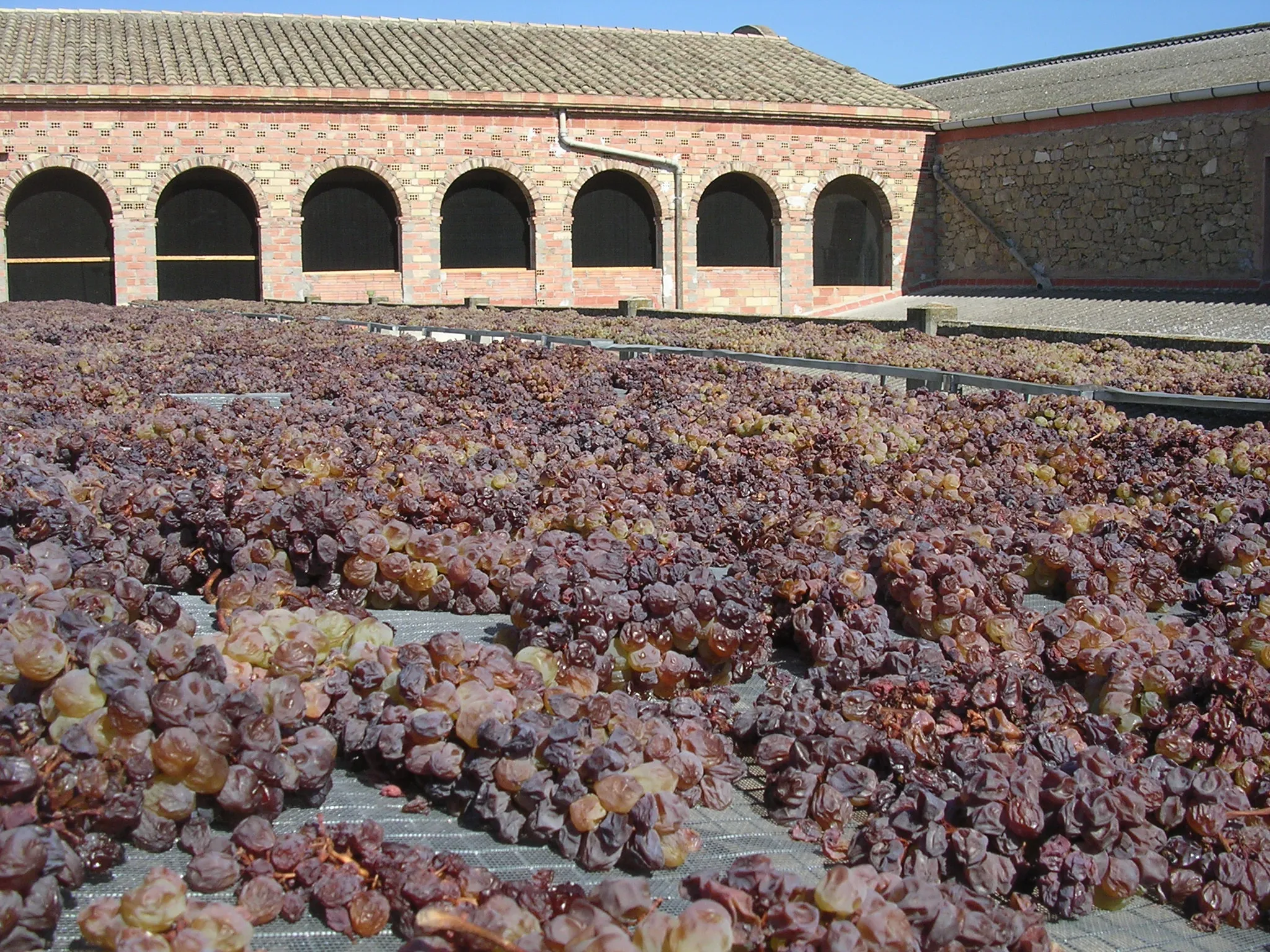 Vimblanc de Vinebre