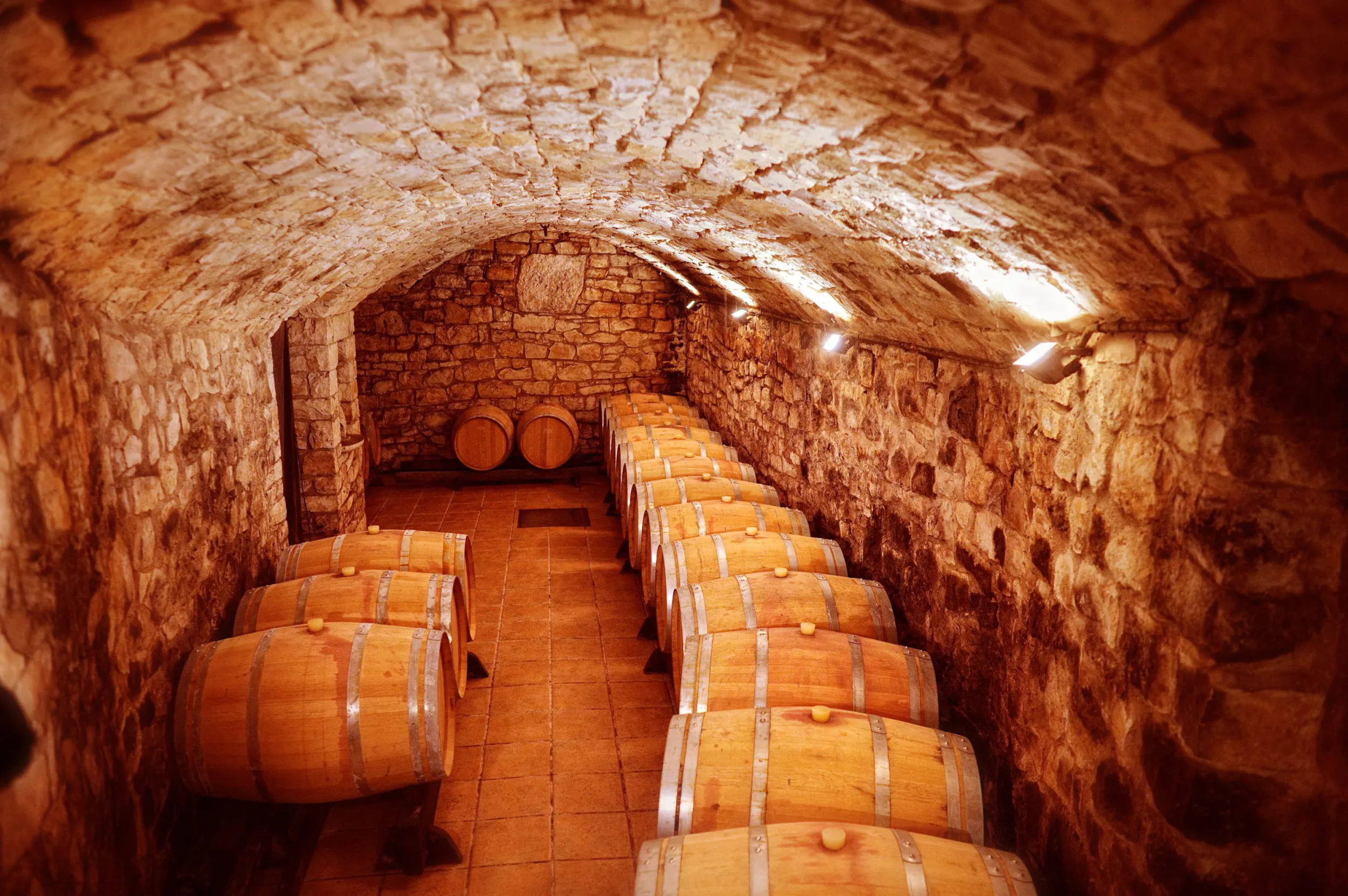 Celler Xavier Clua