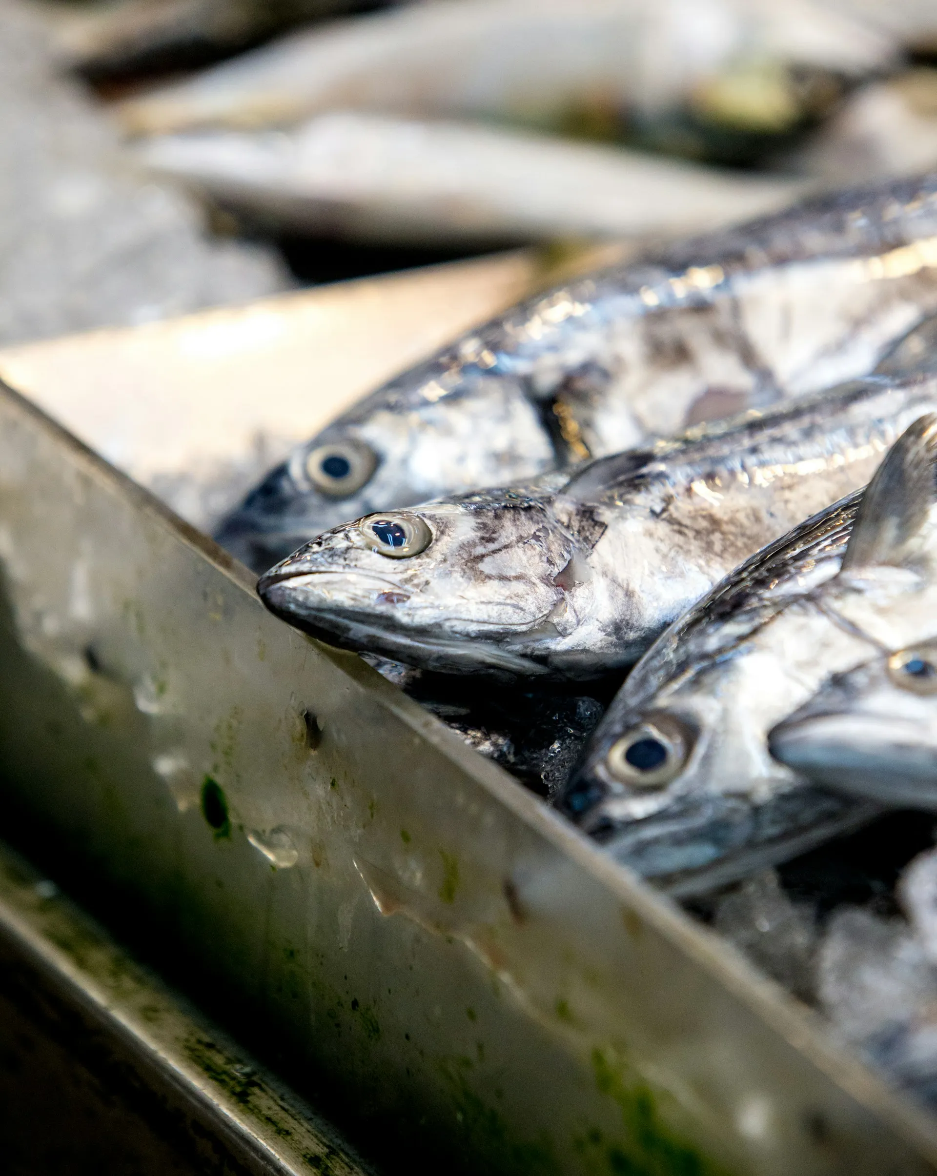 boquerones