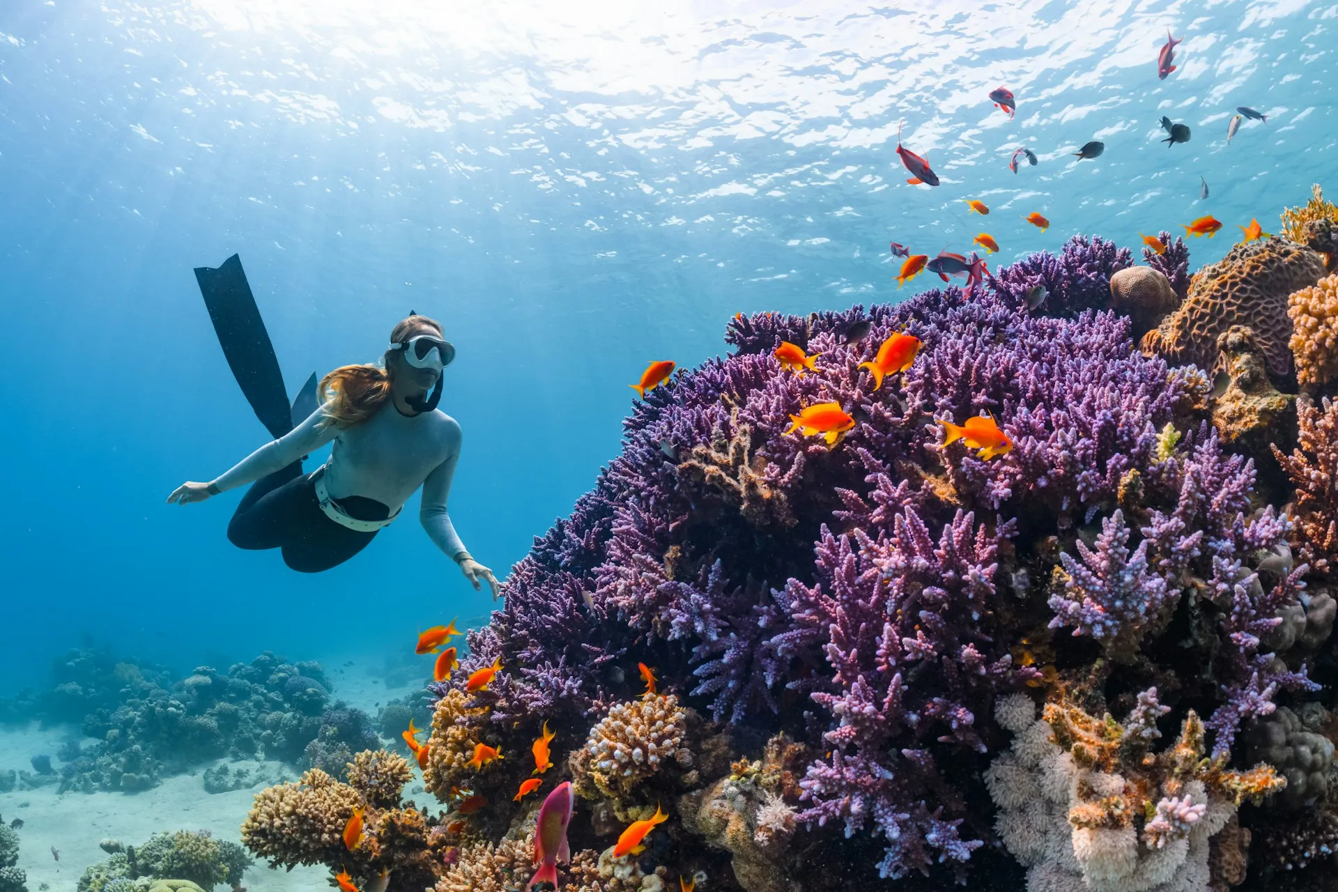 buceo