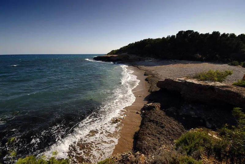 Cala Port Olivet