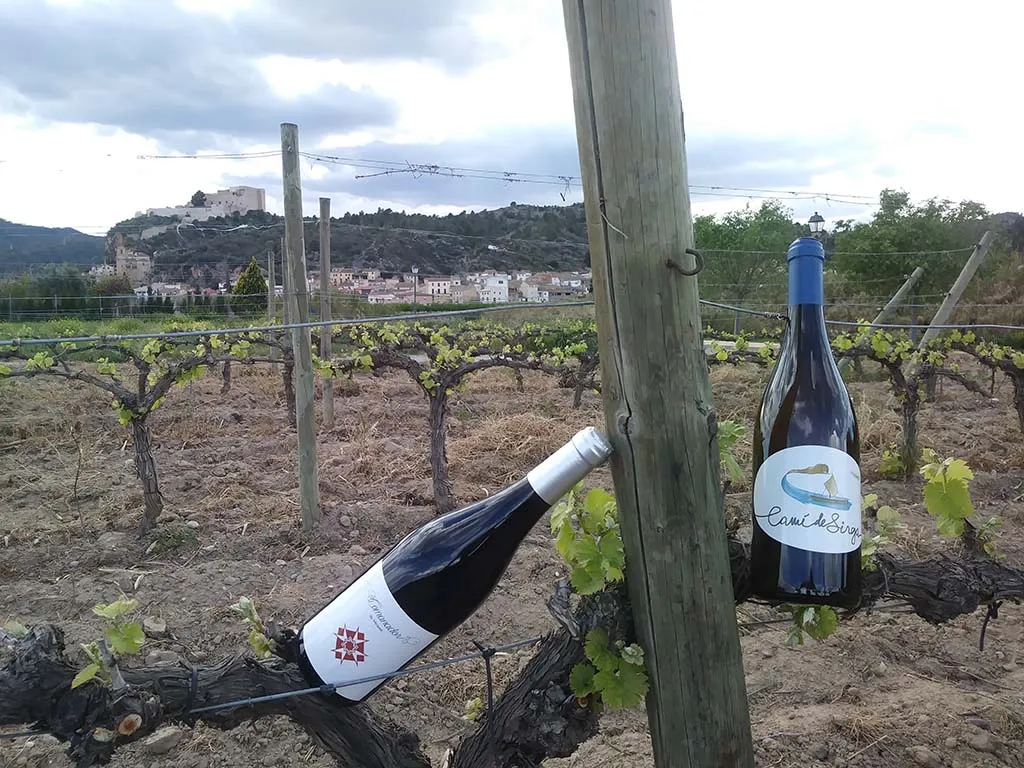 celler pedrola
