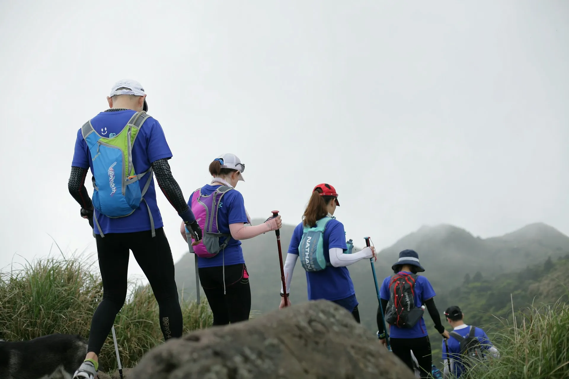 marcha nordica