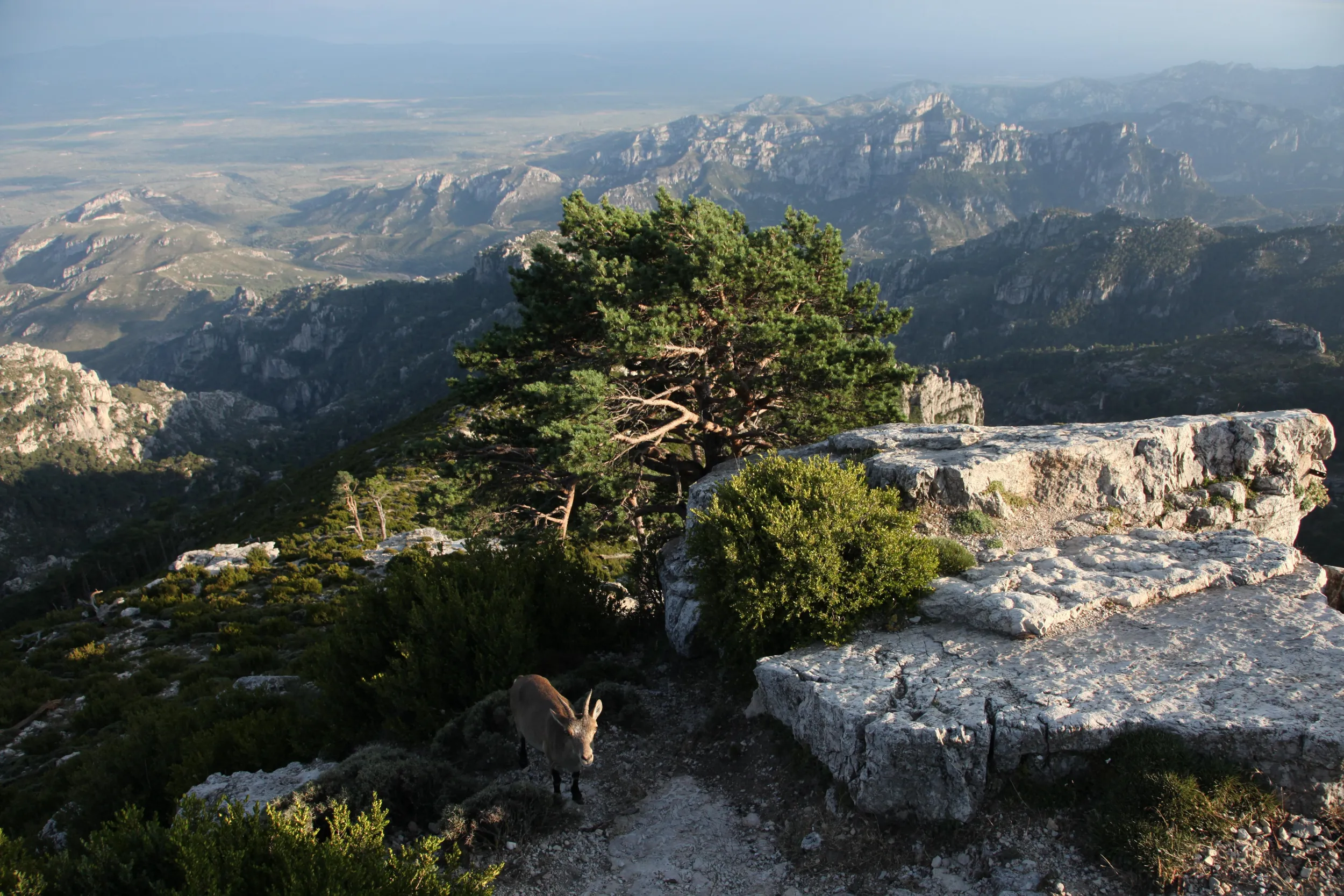 Els Ports: paisatges, pobles amb ànima i natura salvatge