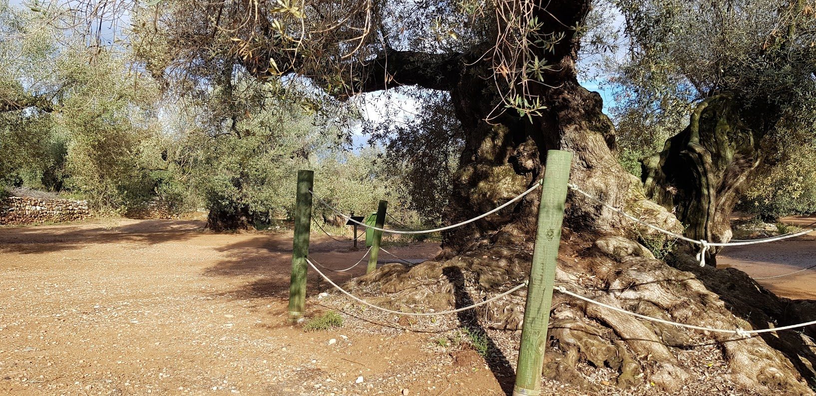 L'Arion i el molí: visita prèmium