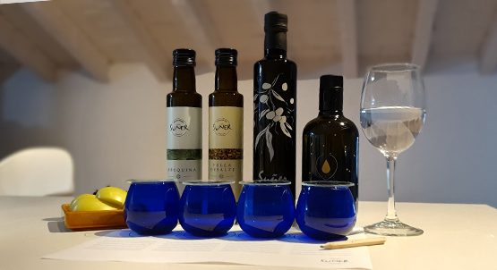 Oliveres, molí i tast d'olis a Ginestar