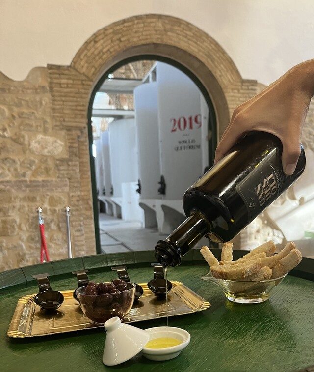 Olis a la Catedral del Vi de Gandesa