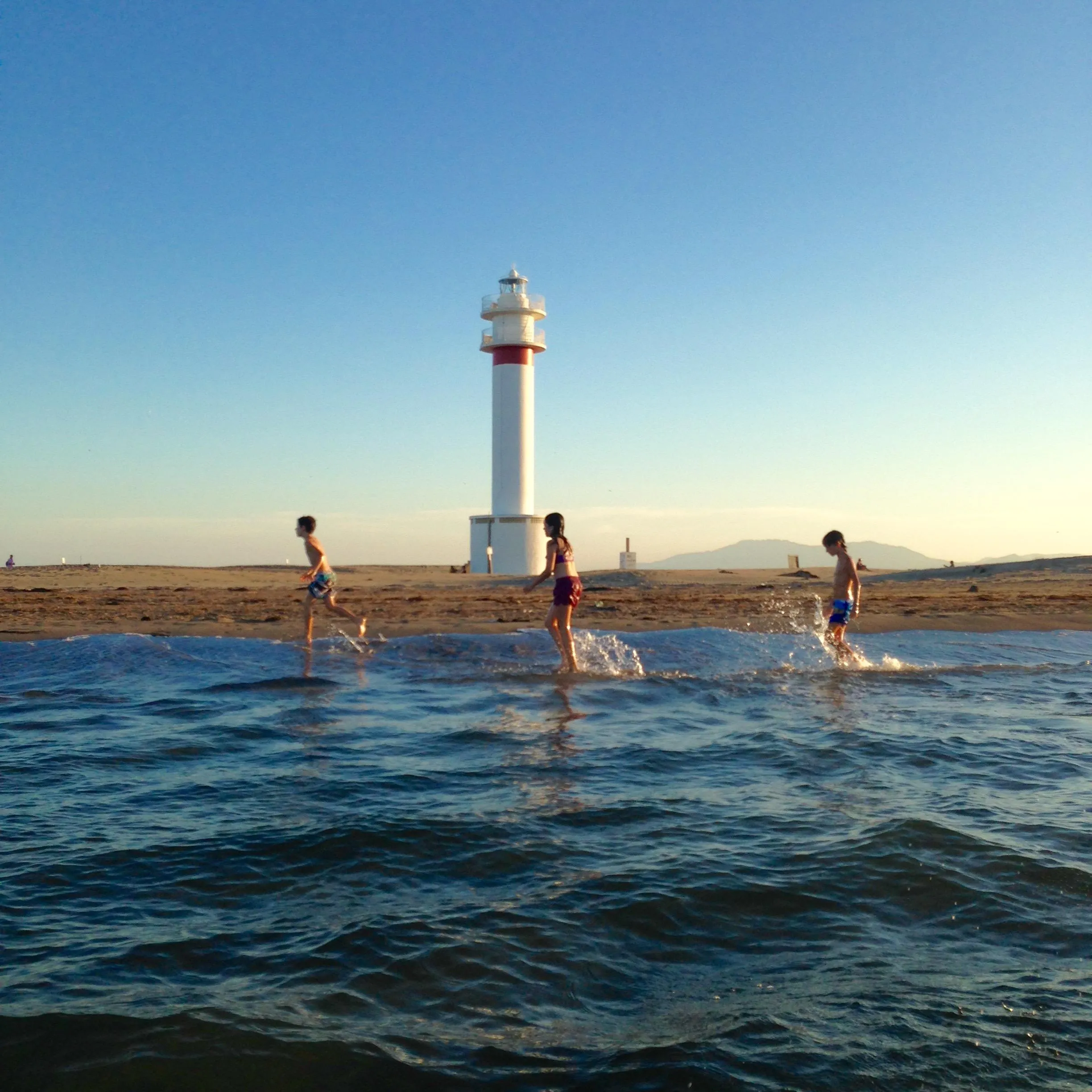 Punta del Fangar