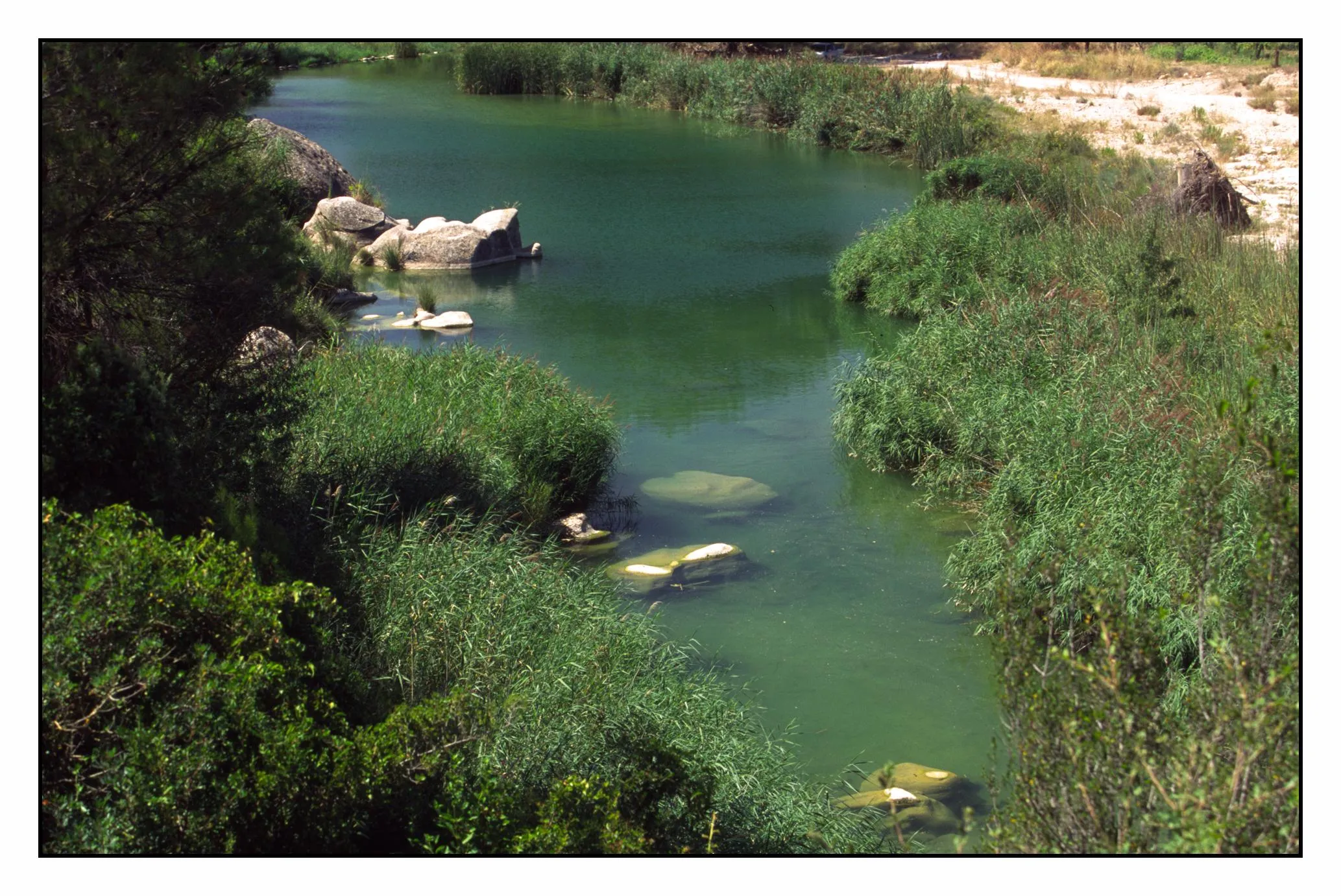 Ribera de l'Algars