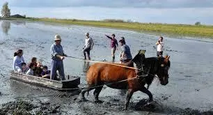 Riet Vell