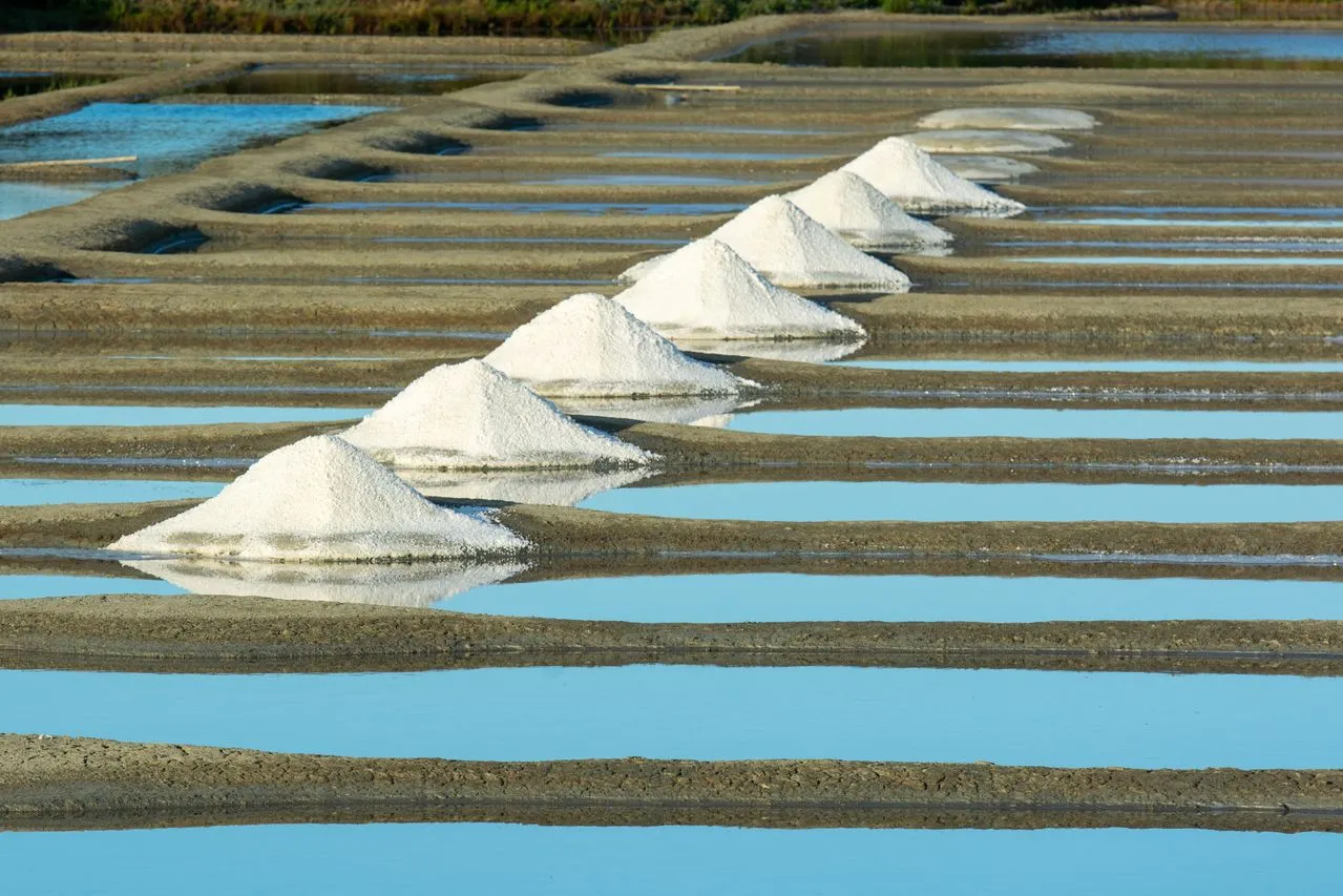 salinas