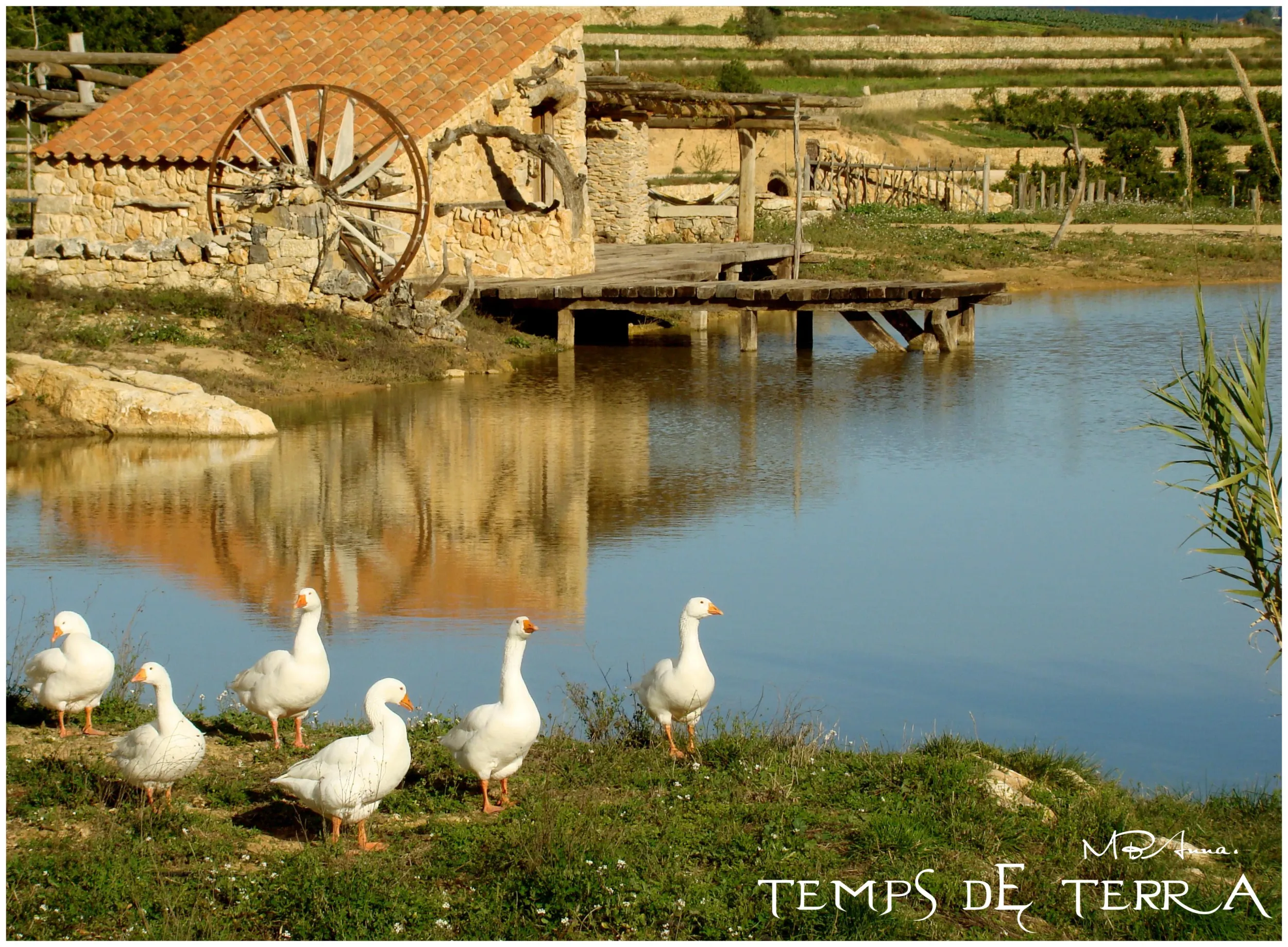 Temps de Terra