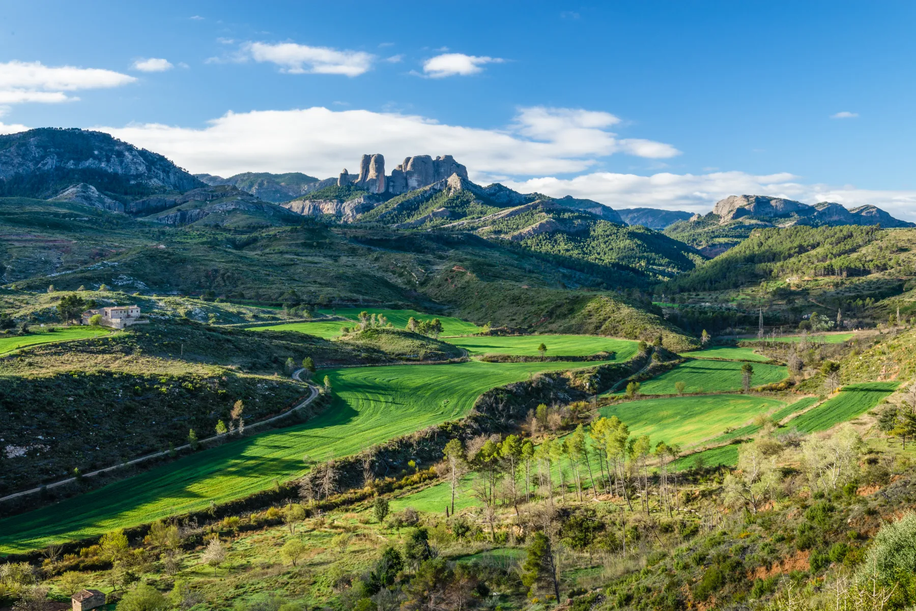 Detall del paisatge ebrenc