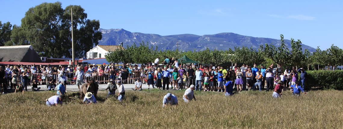 Festes de l'Arròs a Amposta