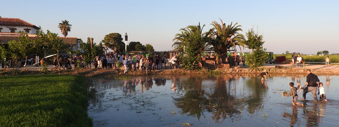 Festes de l'Arròs a Deltebre