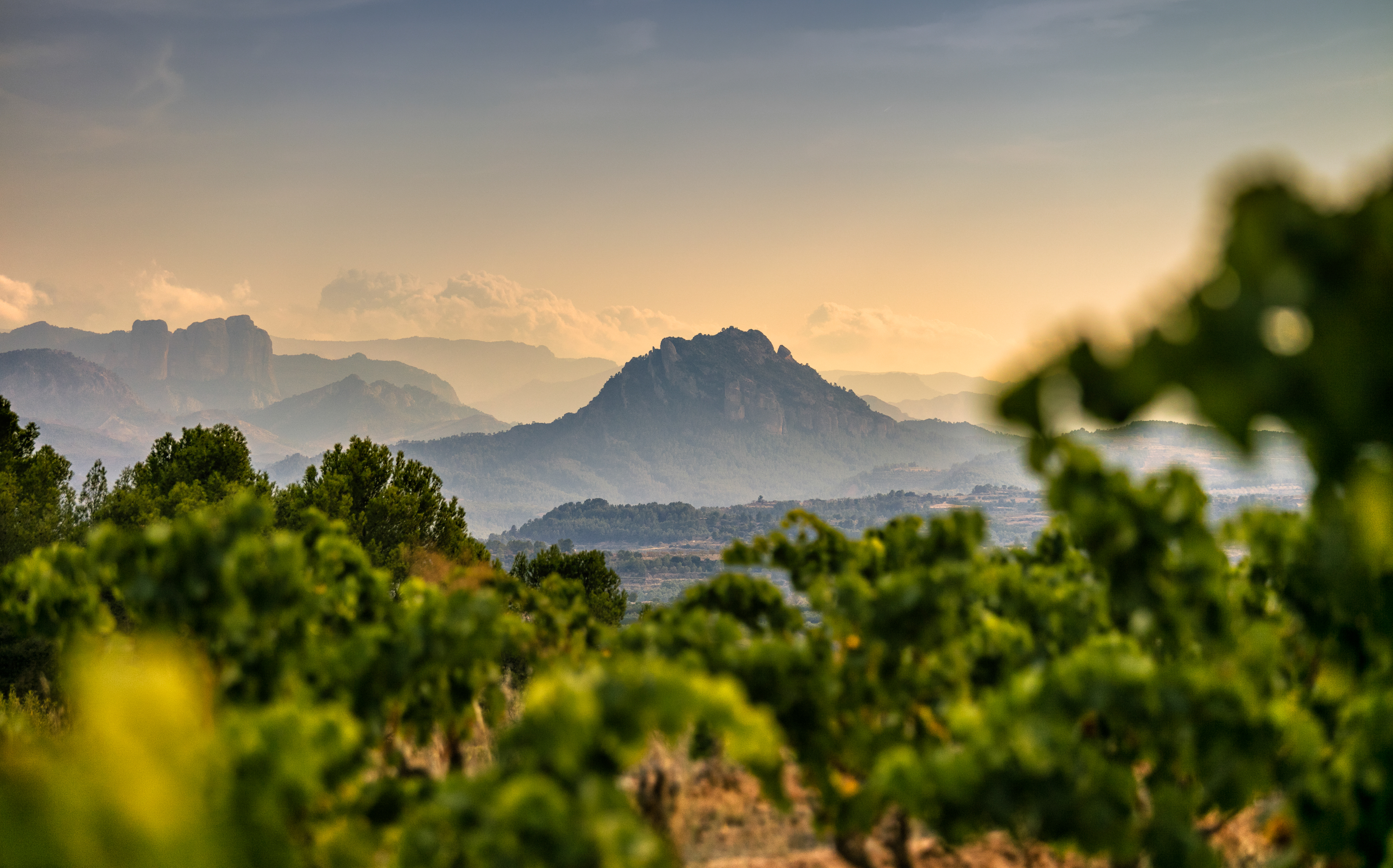 Camins per perdre's