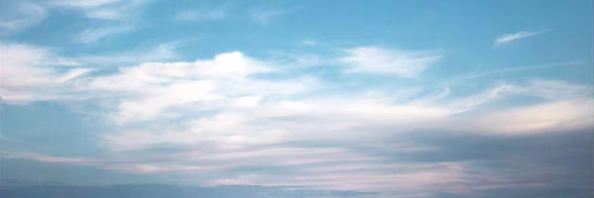 Terres banner