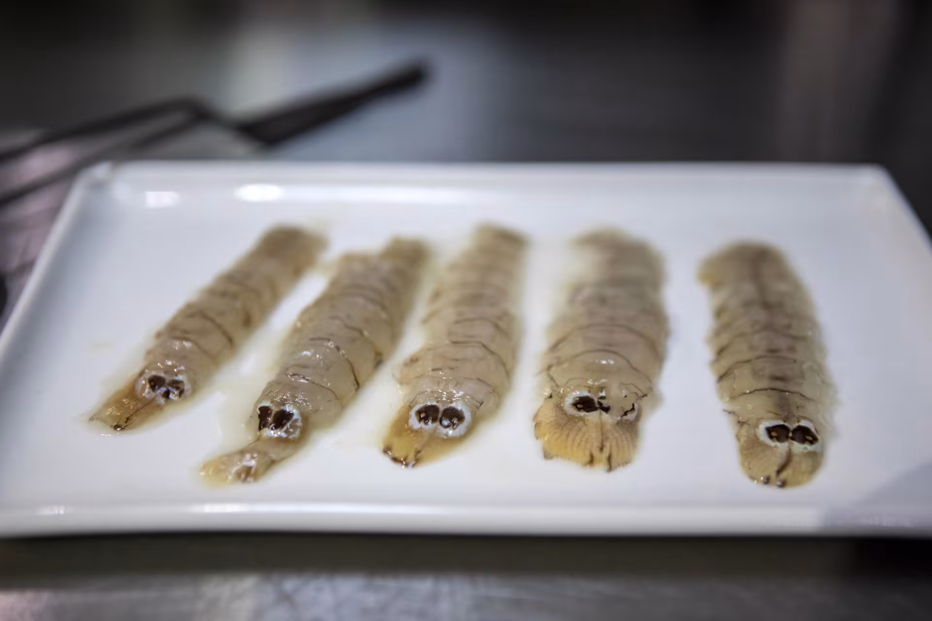 Galeres en plat