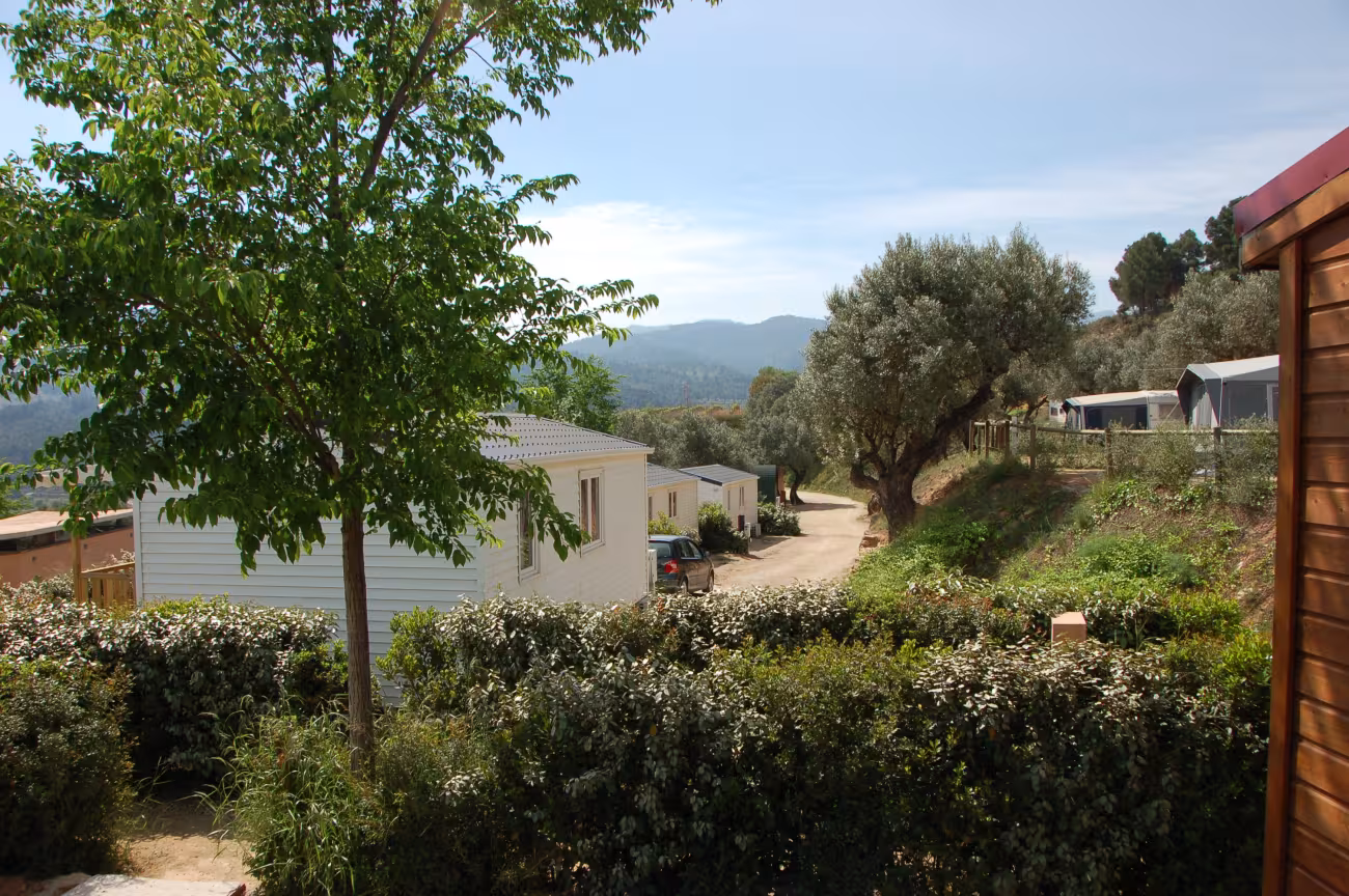 Terra Alta