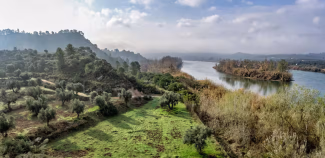 El meandre de Flix, vora la reserva de Sebes