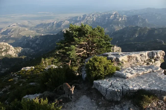 El Mont Caro, sostre dels Ports