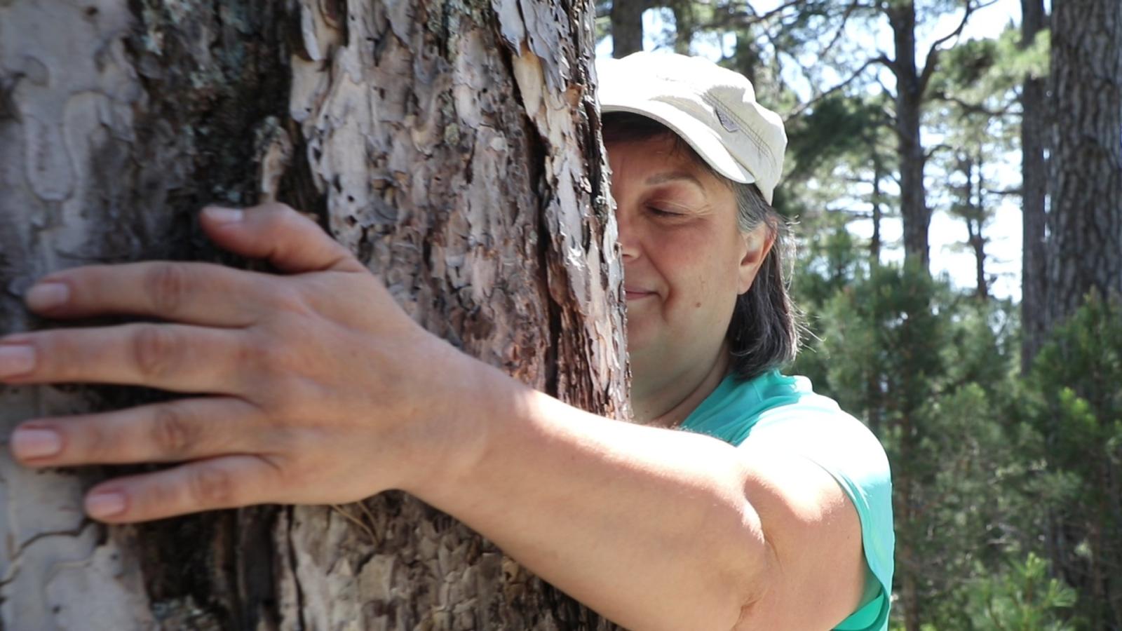 Banys de bosc al Parc Natural dels Ports