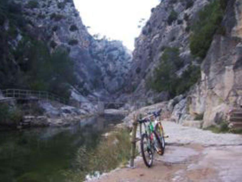 Bici i tast de vins a la Fontcalda
