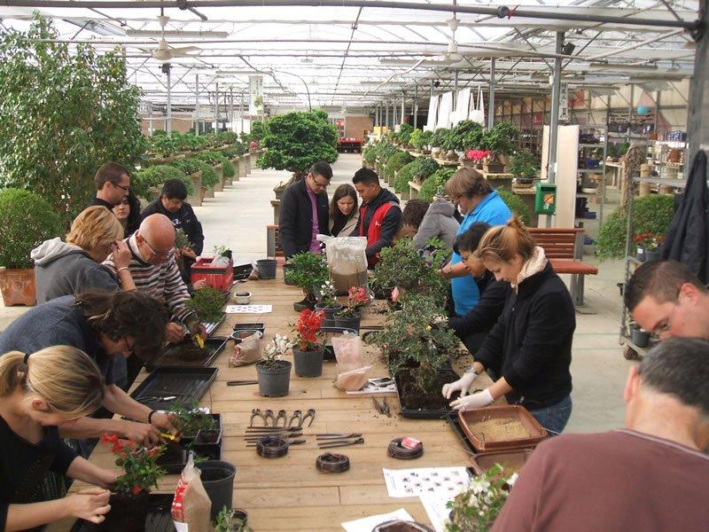 Bonsai Tour i Bonsai Experience