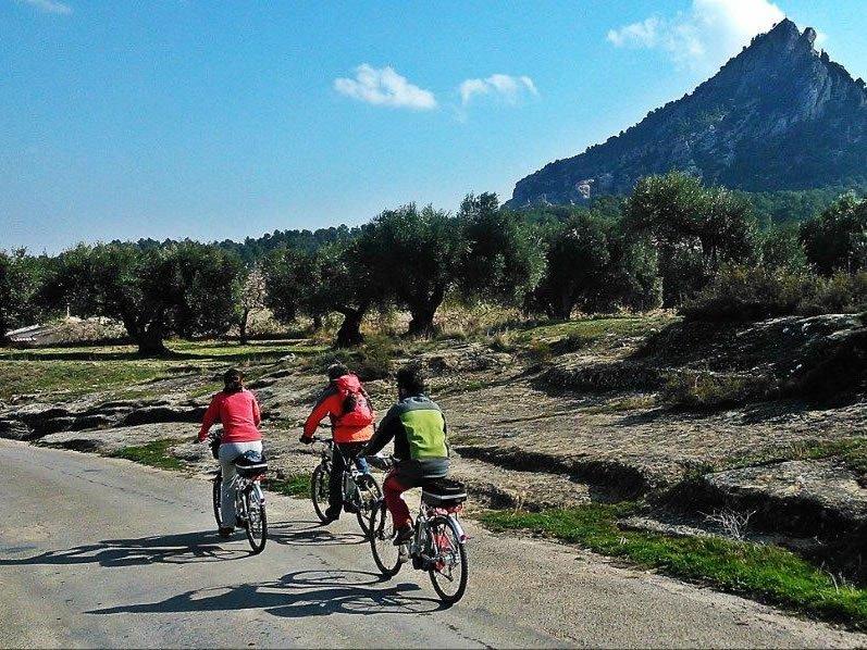 Ebikes&Wines