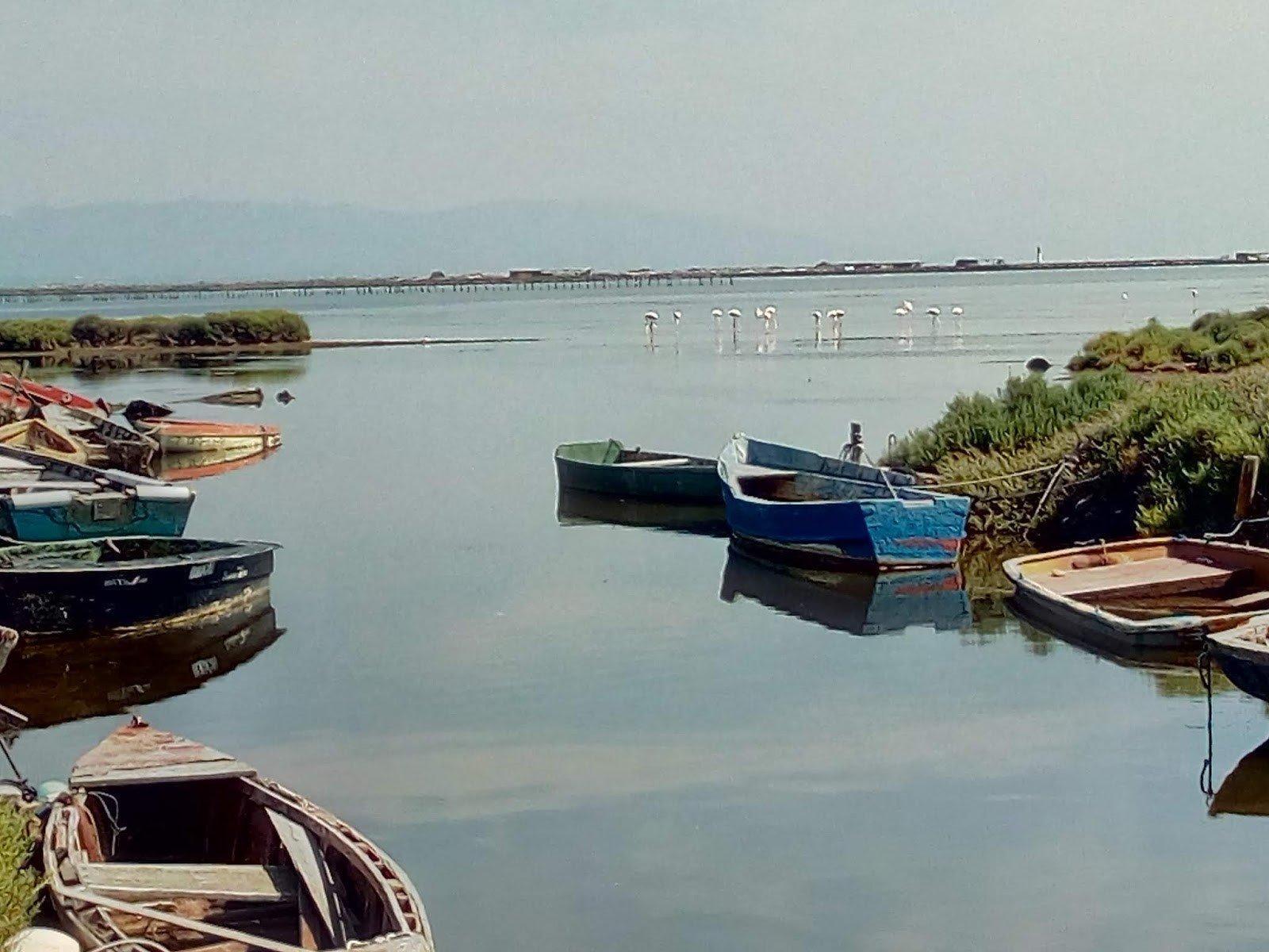 EL DELTA DE L’EBRE, a les teves mans!