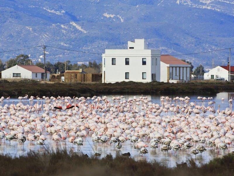 MónNatura Delta de l’Ebre