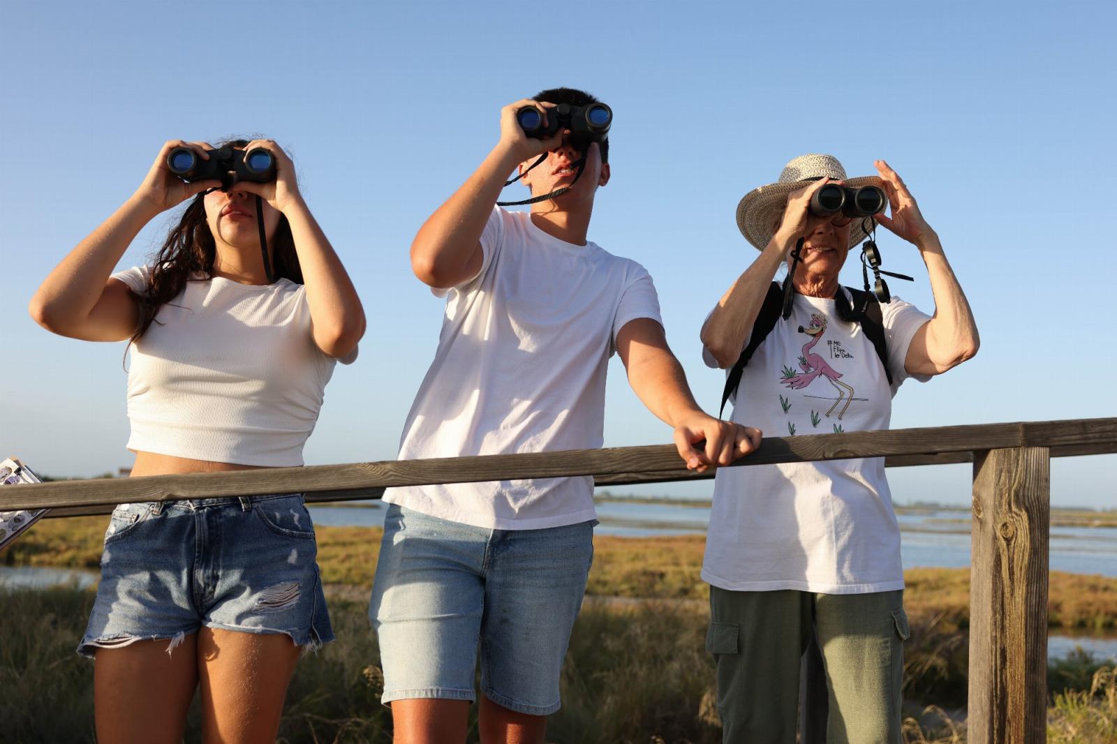 Observació d'ocells al Delta de l'Ebre